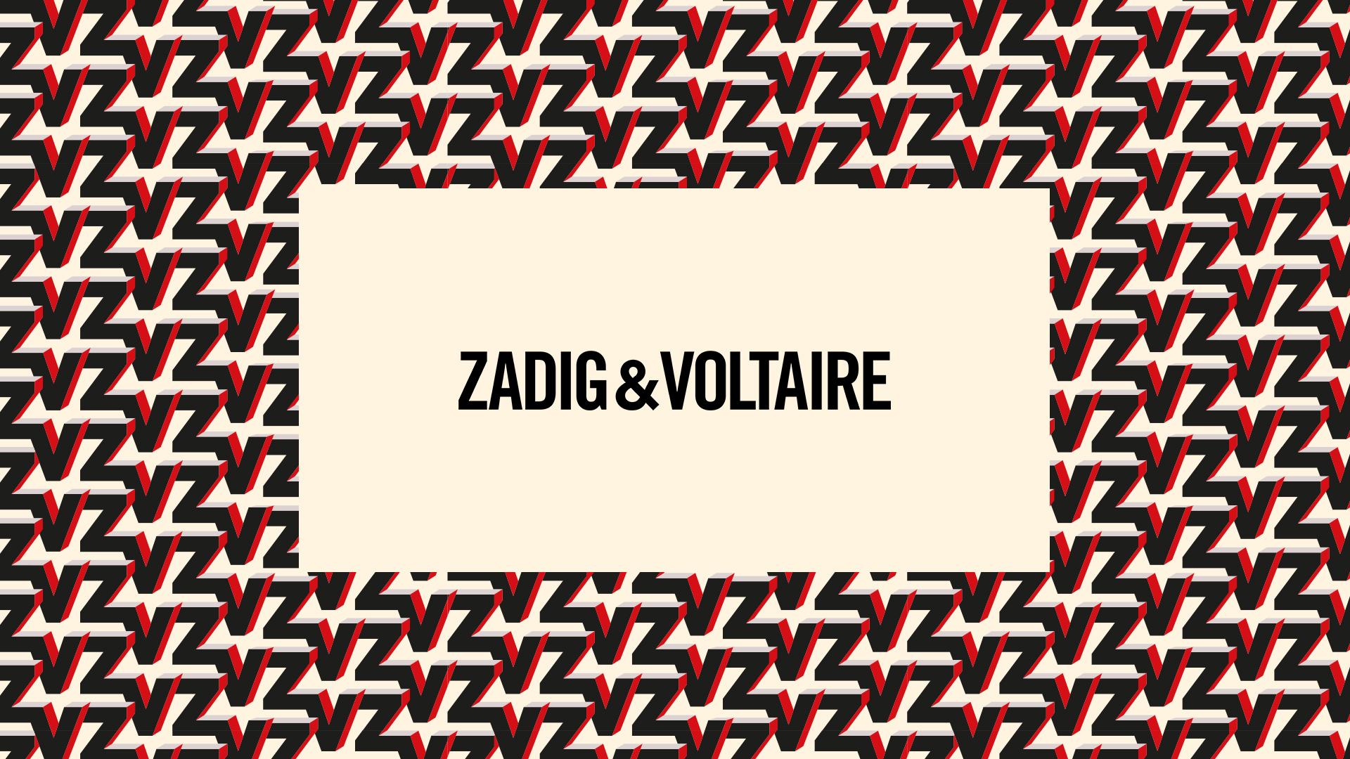voltaire and zadig